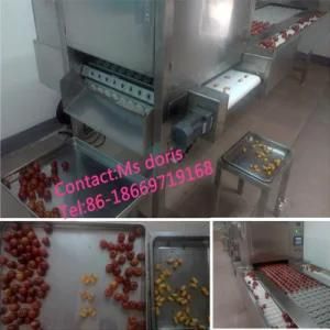 Factory Price Automatic Fruit Pitting Machine for Sale