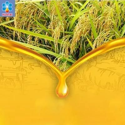 Rice Bran Oil Processing Plant