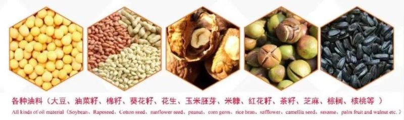 100tpd Whole Production Line Sunflower Oil Press, Refining Processing Machine