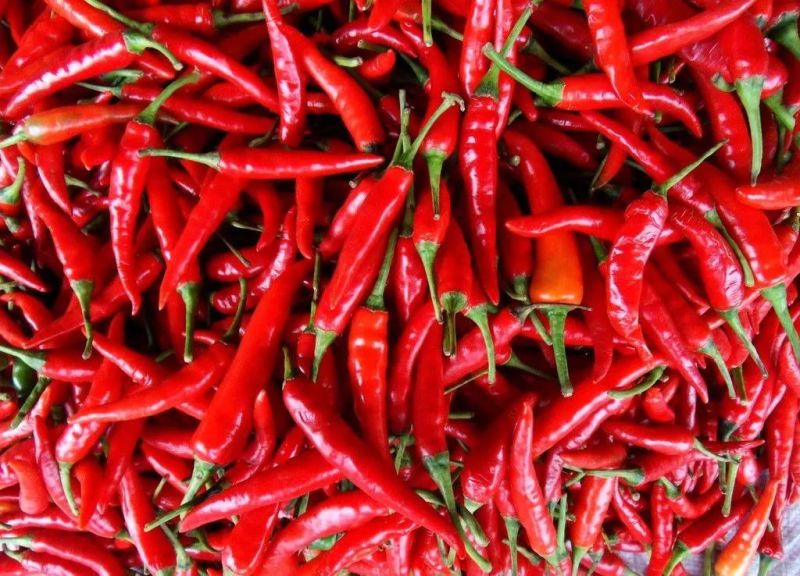 Industrial Fruit and Vegetable Drying Pepper Dryer Machine