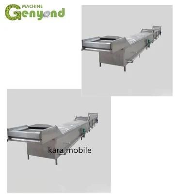 Canned Fruit and Vegetables Production Line