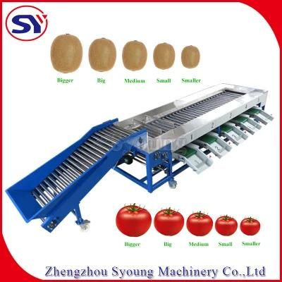 Fruit&Vegetable Blueberry Sorter Sorting Grading Machine by Size for Potato Tomato