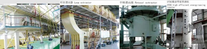 Hua Tai Manufacture Top Brand Quality High Efficiency Sunflower Palm Soya Peanut Oil Making Machine