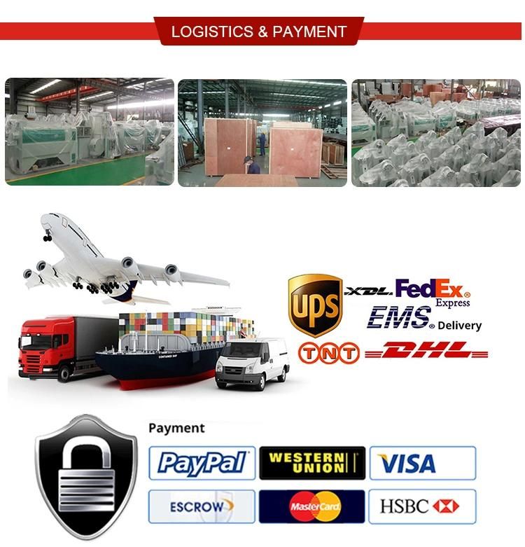 Clj Manufacture Hot Sale Paddy Processing Equipment Tqsx170 Suction Vibratory Paddy Rice Destoner Machine in Egypt Vietnam Thailand