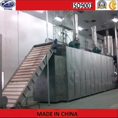 Mango Slice Continuous Conveyor Belt Drying Machine