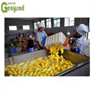 Small Capacity Mango Paste Processing Plant