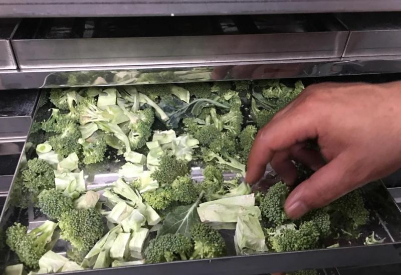 Vacuum Freeze Dryer Lyophilizer Machine Dried Broccoli Freeze Dehydrator
