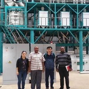 Zambia Running 50t/24h Maize Milling Machines for Breakfast Meal