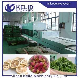 Automatic High Capacity Industrial Microwave Oven