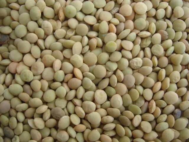 Beans Garbanzo Lentil Pea Splitting Peeling Machine Flour Line Technology Processing and Packaging South Africa