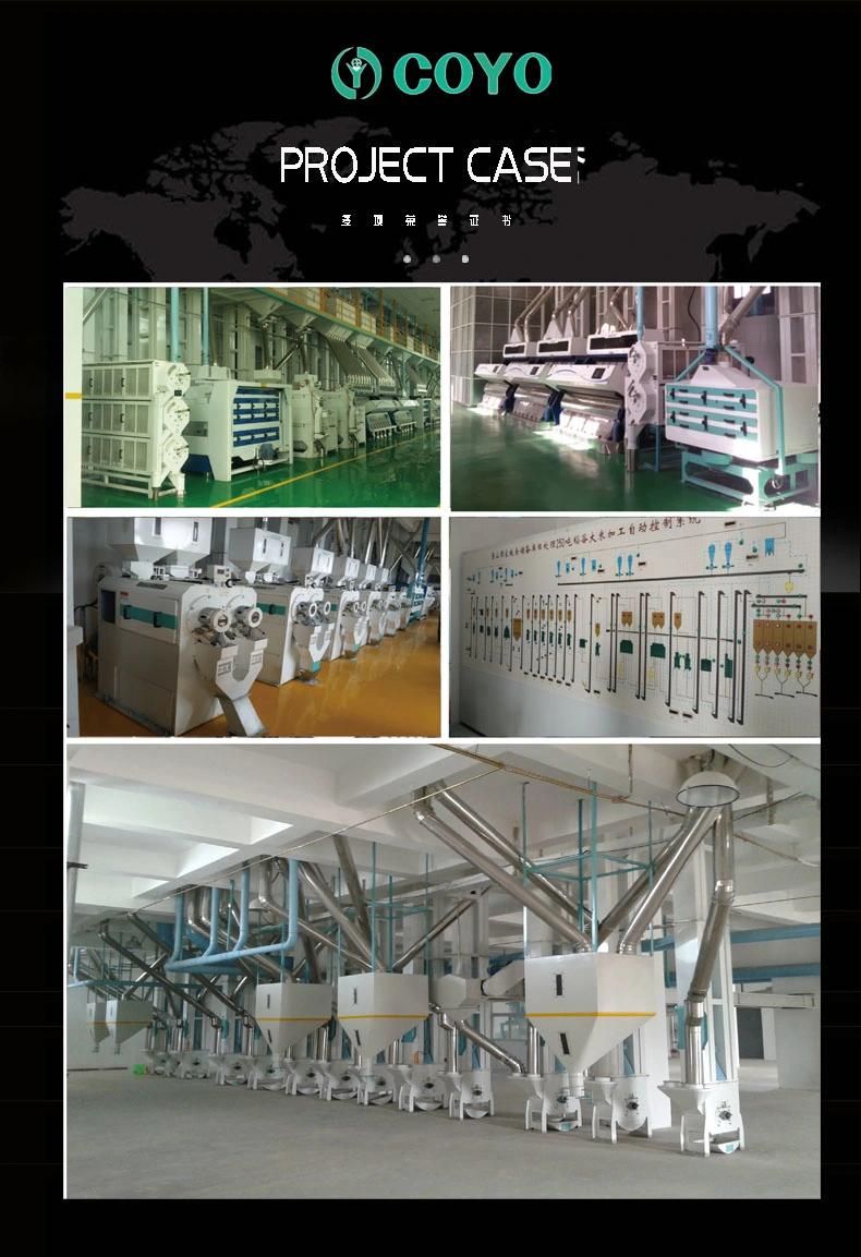 Tqsf Series Double Deck Separator Screen Specific Price for Sale Gravity Destoner Machine