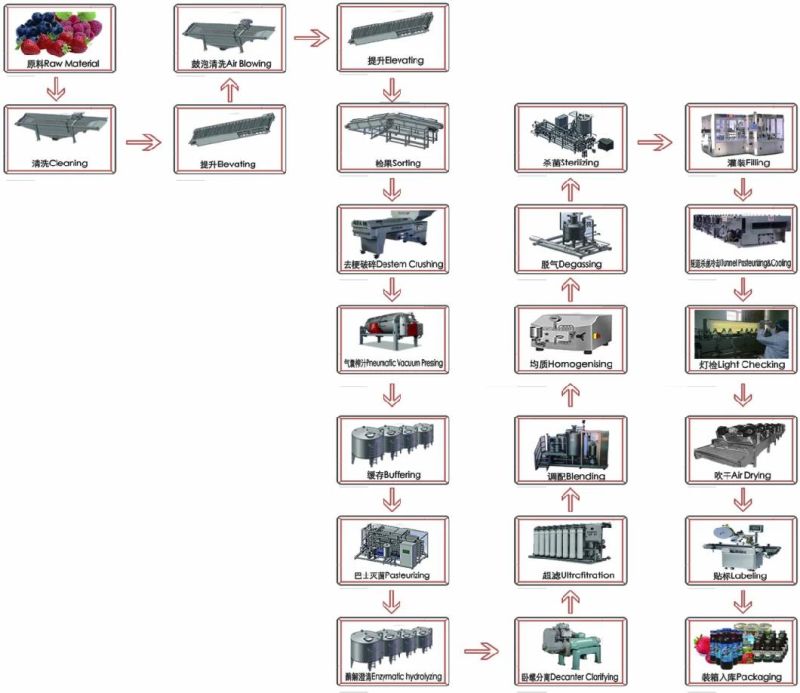 Blueberry Puree Production Line/Processing Line