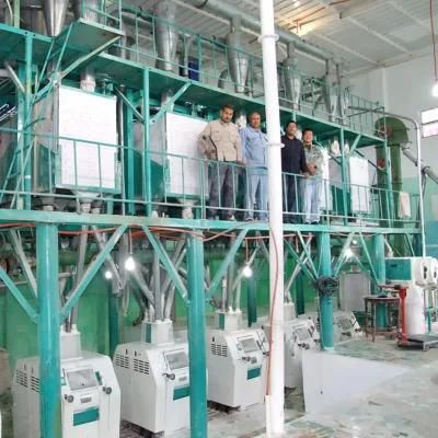 Middle Scale Wheat Flour Milling Plant of 50 Ton Per Day for Maida