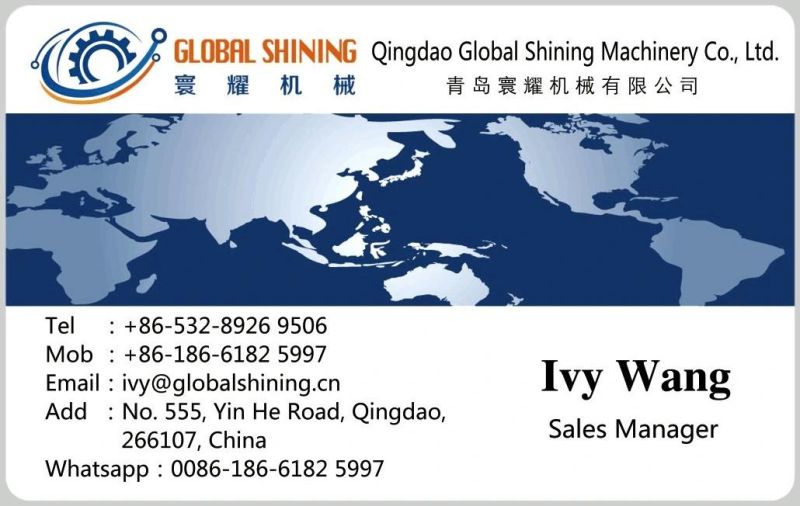 Global Shining Food Table Human Edible Industrial Livestock Salt Grinding Machine