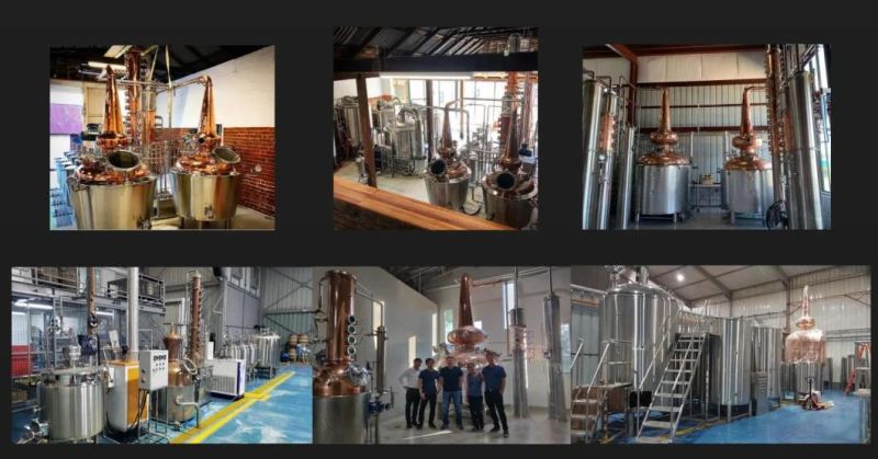 500L 1000L Industrial Use Gin Rum Fruit Spirits Distillation Plant