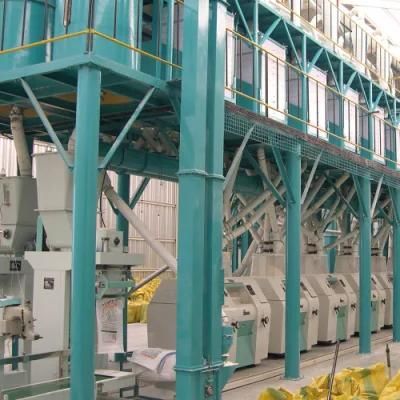 Low Fat European Standard 100t/24h Corn Flour Mill Plant for Sale