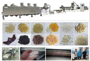 Nutritional Rice Production Line
