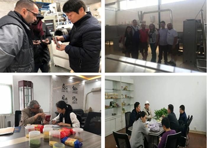 China Manufacturer Supply Nutritional Rice Food Machine
