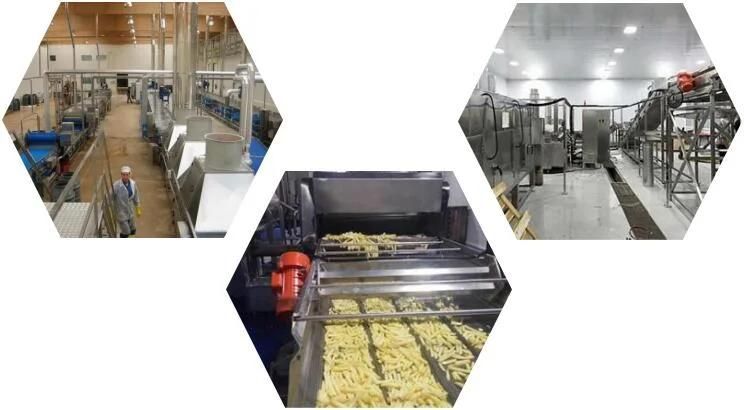 Potato Chips Machine 500 1000kgh Fully Automatic Frozen French Fries Line