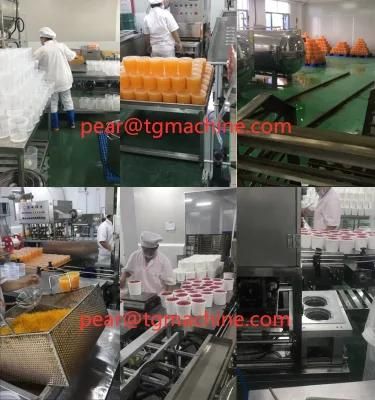 PLC Control Servo Driven Popping Boba Making Production Line