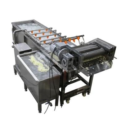 High Capacity Fresh Vegetable Fruit Air Bubble Washing Machine