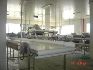 China Professional Manufacturer Fruit and Vegetable Processing Machine/Production Line ...