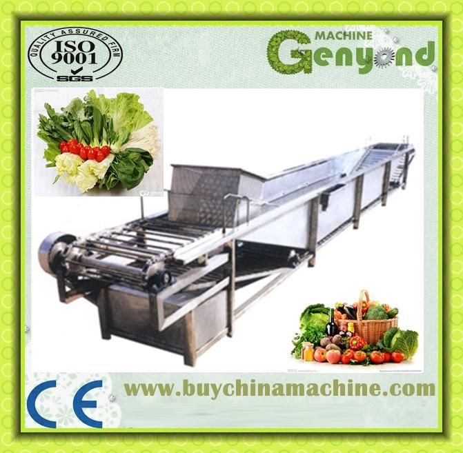 Green Vegetables Washing & Blanching Processing Line