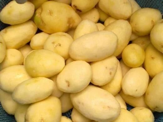 Industrial Potatoes Peeling Machine Electric Potato Washer Peeler
