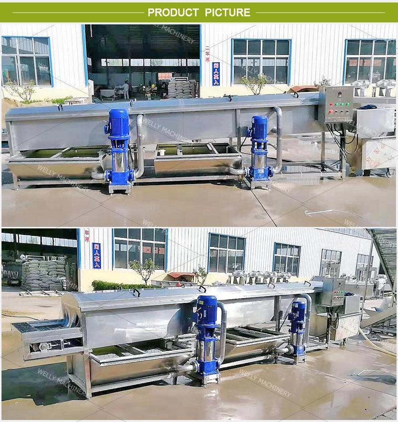 Long Working Life Garlic Ginger Cleaning Machine Cassava Washing Machine