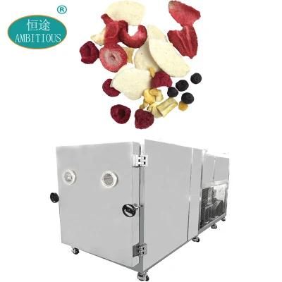Vacuum Lyophilizer Price Dried Fruit Freeze Drying Machine Vacuum Freeze Dryer