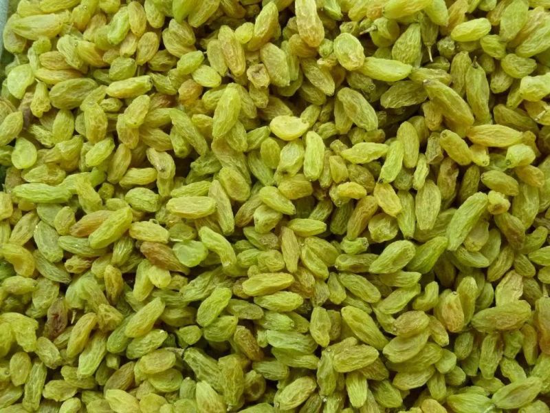 Machinery for Fruits Washing Raisin Washing Machine