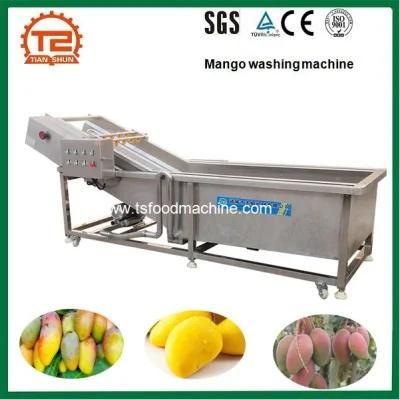 Bubble Washer and Washing Machine with Ozone Generator for Mango