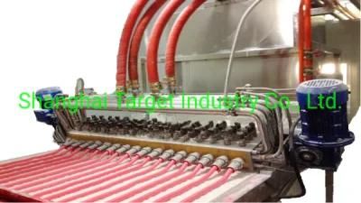 Extruder Marshmallow Machine for 2 Colour/Full Automatic Carton Marshmallow Machine