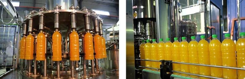 Yellow Dragon Fruit Fresh Juice Full Automatic Production Line
