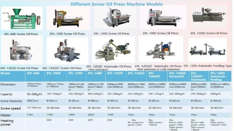 6yl-120qdt 100-125kg/H Auto Feeding Oil Cold Press Machine for Oil Process Extraction