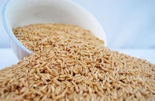 Coarse Cereals Flour Milling Line Project