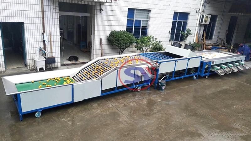 Fruit&Vegetable Blueberry Sorter Sorting Grading Machine by Size for Potato Tomato