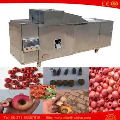 Industrial Greengage Apricot Peach Commercial Cherry Pitter Plum Pitting Machine
