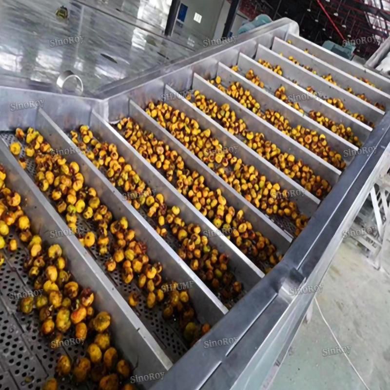 Rosa Roxburghii Processing Line/Rosa Roxburghii Juice Processing Line