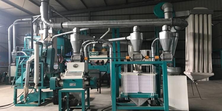 Small Scale 5tpd Maize Flour Milling Machine Complete Automatic Line