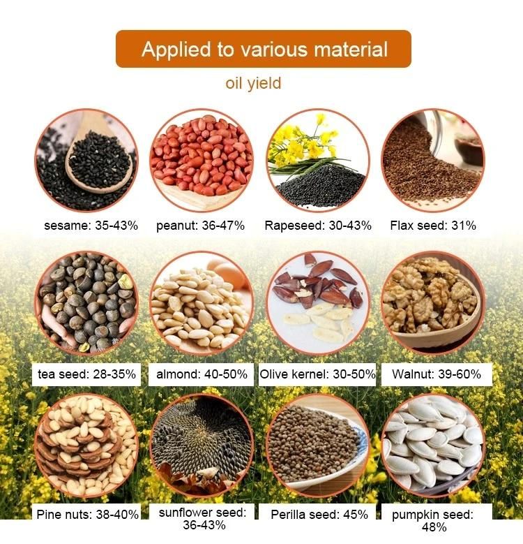 Automatic Screw Oil Extractor Sesame Sunflower Walnut Oil Processing Machine