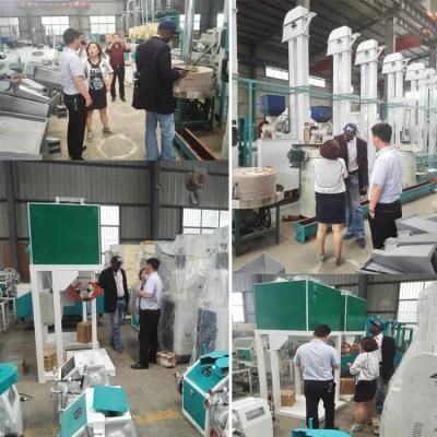 Low Price 30tpd Rice Mill Plant Made in China