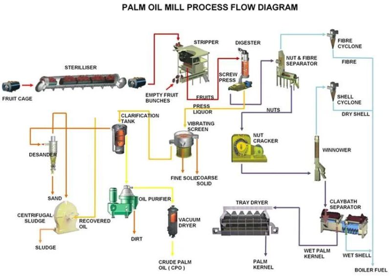 Fresh Palm Fruit Processing Equipment, Production Line Palm Fruit Machine for Palm Oil Mill