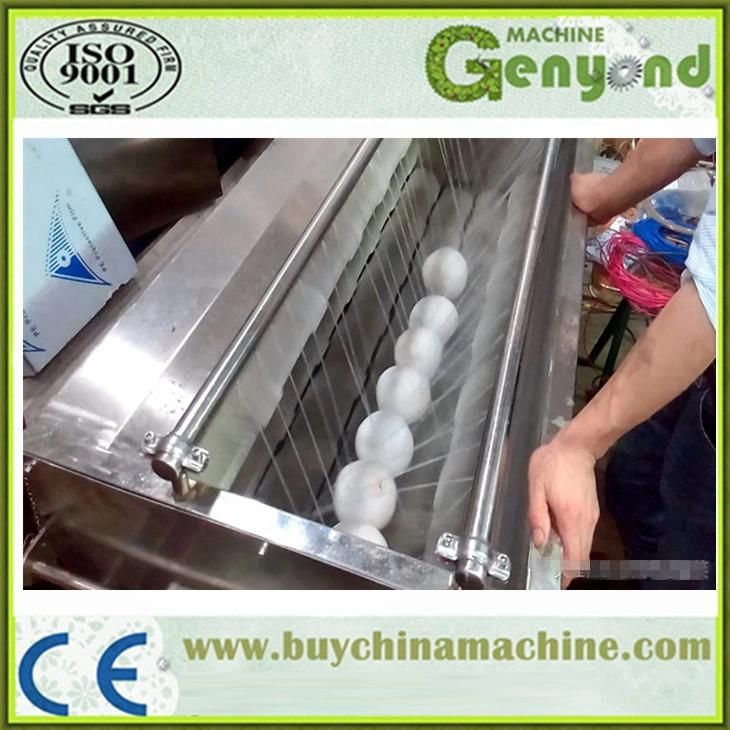 Stainelss Steel Automatic Coconut Milk Press