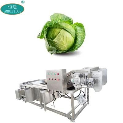 Vegetable Air Bubble Washer Cabbage Cleaning Machine