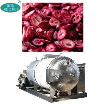 Commercial Freeze Dryer Vacuum Freeze Drying Machine