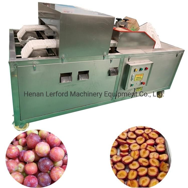 Fruit Seed Removing Date Apple Pear Apricot Cherry Pit Remove Olive Pitting Pitter Processing Machine