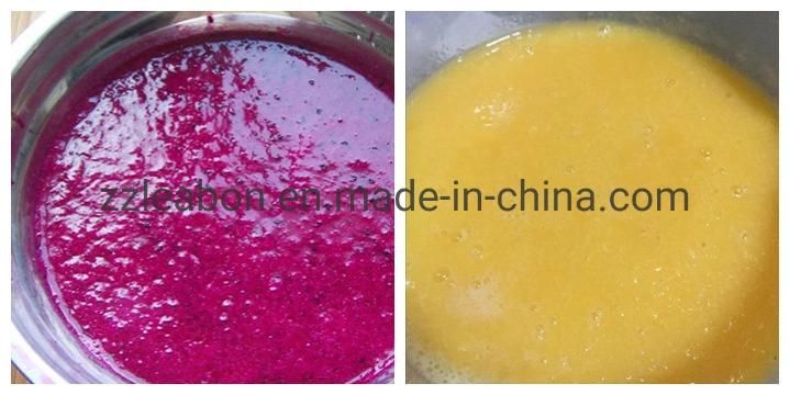 Commercial Fruit Juice Making Machine Industrial Cold Press Juicer Extractor Machine