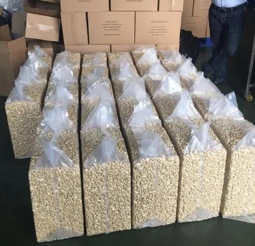 Dz500 Vacuum Packing Machinery Cashew Nut Vacuum Packing Machine