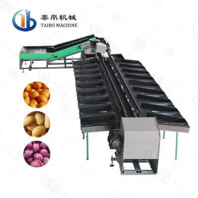 SUS304 Avocado Kiwi Tomato Washing Waxing Weight Sorting Line for Fruit Farm